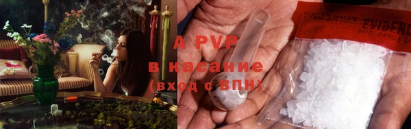 амф Ладушкин