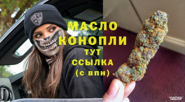 амф Ладушкин