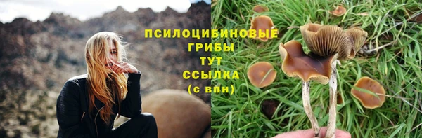 таблы Лабытнанги