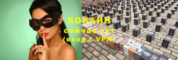 амф Ладушкин