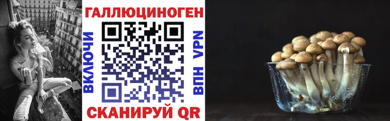 Купить где Светлоград Псилоцибиновые грибы Psilocybine cubensis