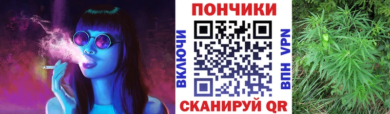 Купить  Светлоград  Шишки марихуана план 